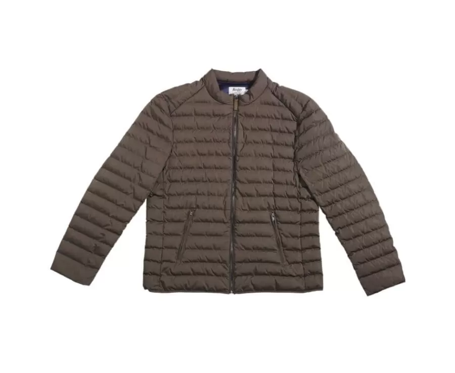 Shop Chaqueta acolchada ligera de invierno para hombre Marrón Sven Iii Plumíferos